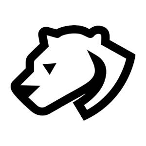 Raleigh Digital Marketing Agency - Cheetah