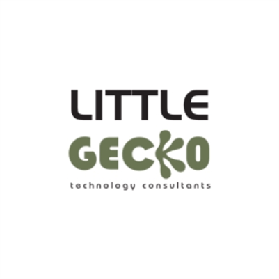 Little Gecko Technology Little Gecko Technology
